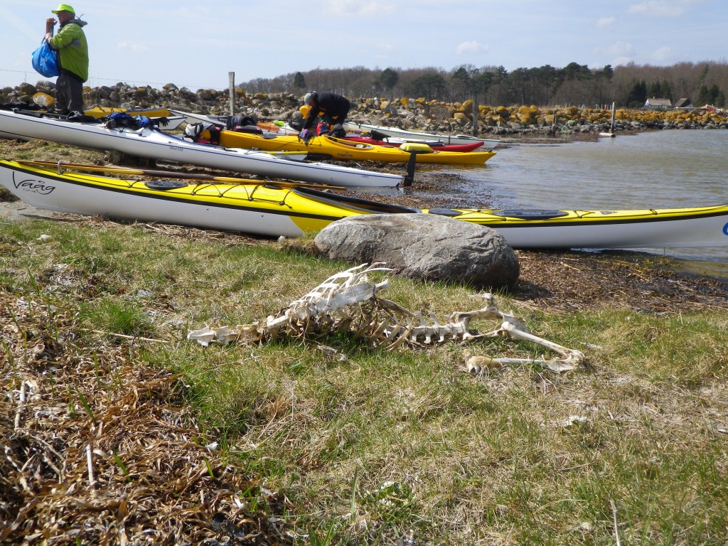 Eskilsø