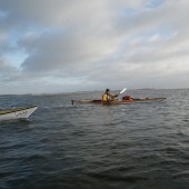 IMGP1921
