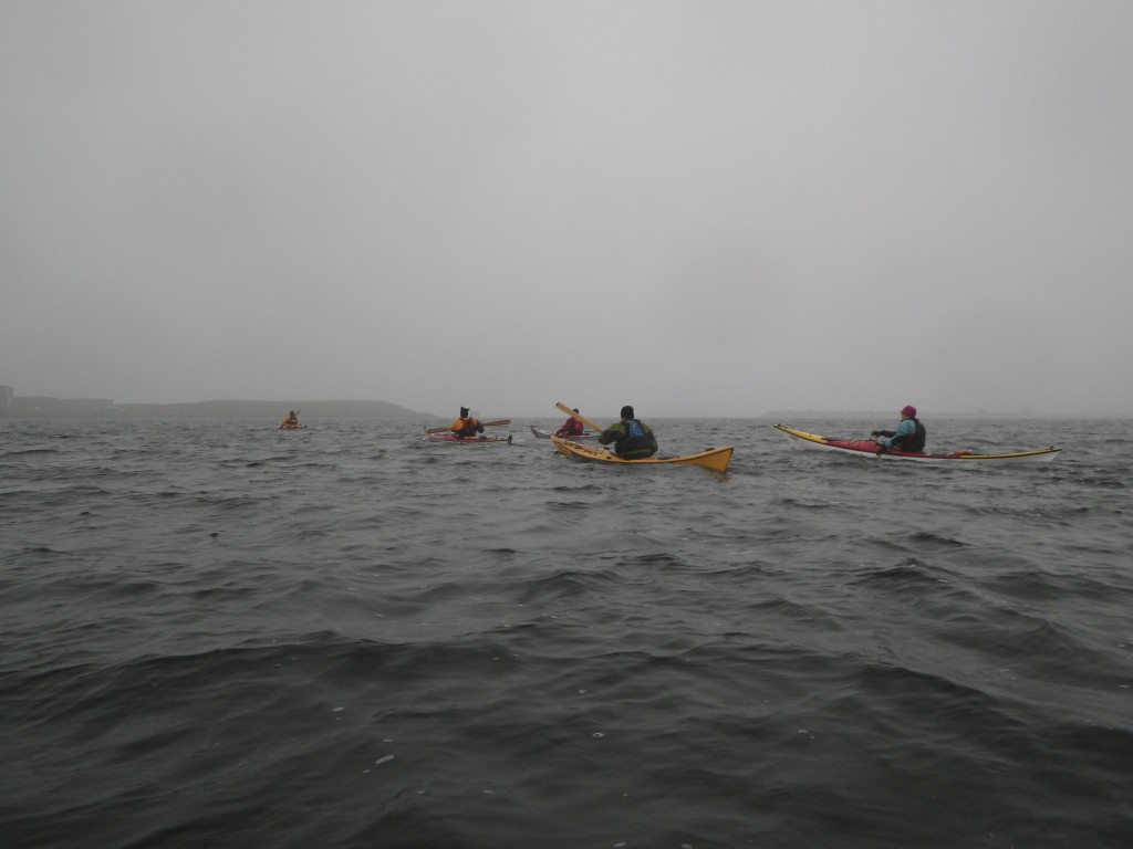 IMGP2028