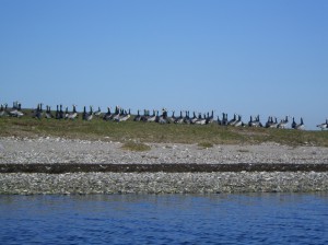 IMGP2056