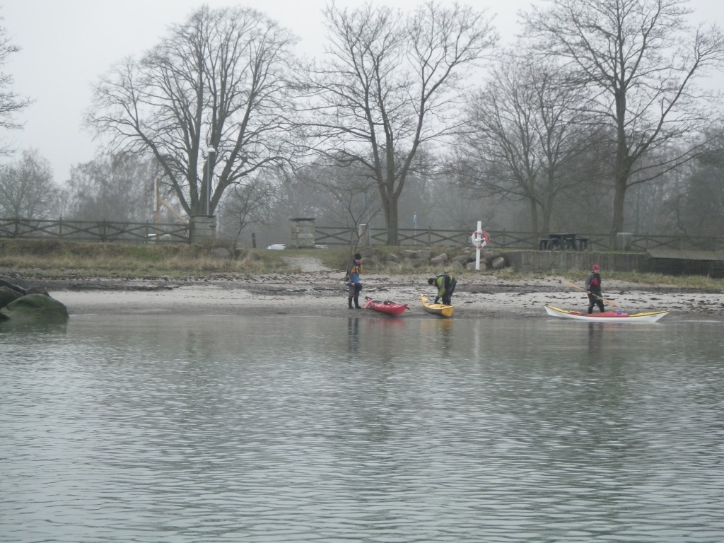 IMGP2088