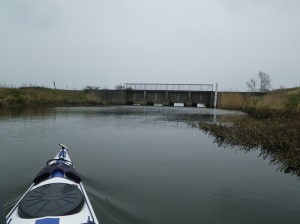 IMGP2109