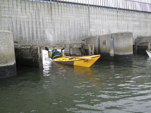 IMGP2111