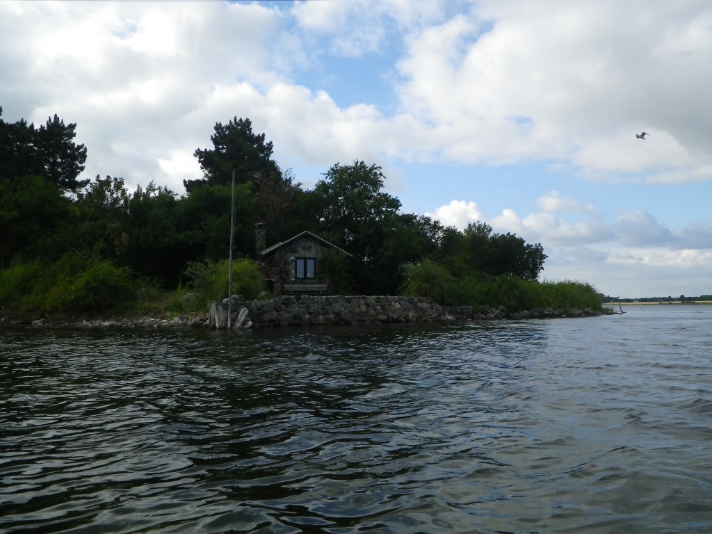 IMGP2135