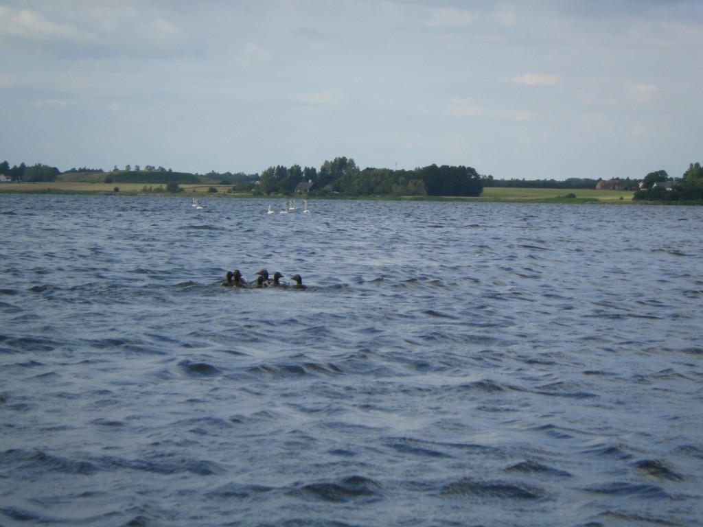 IMGP2138