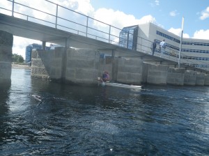IMGP2184