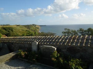 IMGP2228