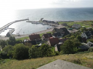 IMGP2229