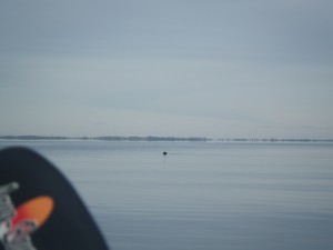IMGP2272