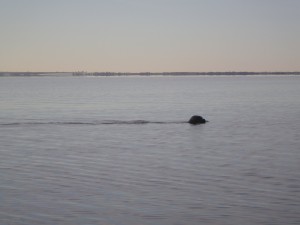 IMGP2276