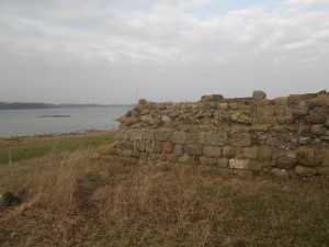 IMGP2293