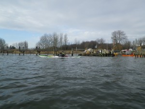 IMGP2319