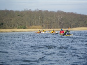 IMGP2321