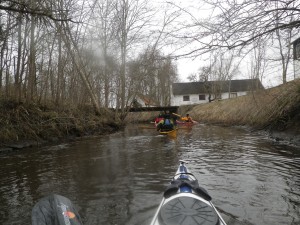 IMGP2385