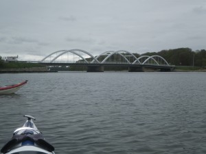 IMGP2407