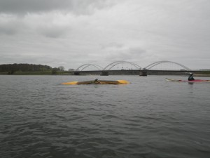 IMGP2410