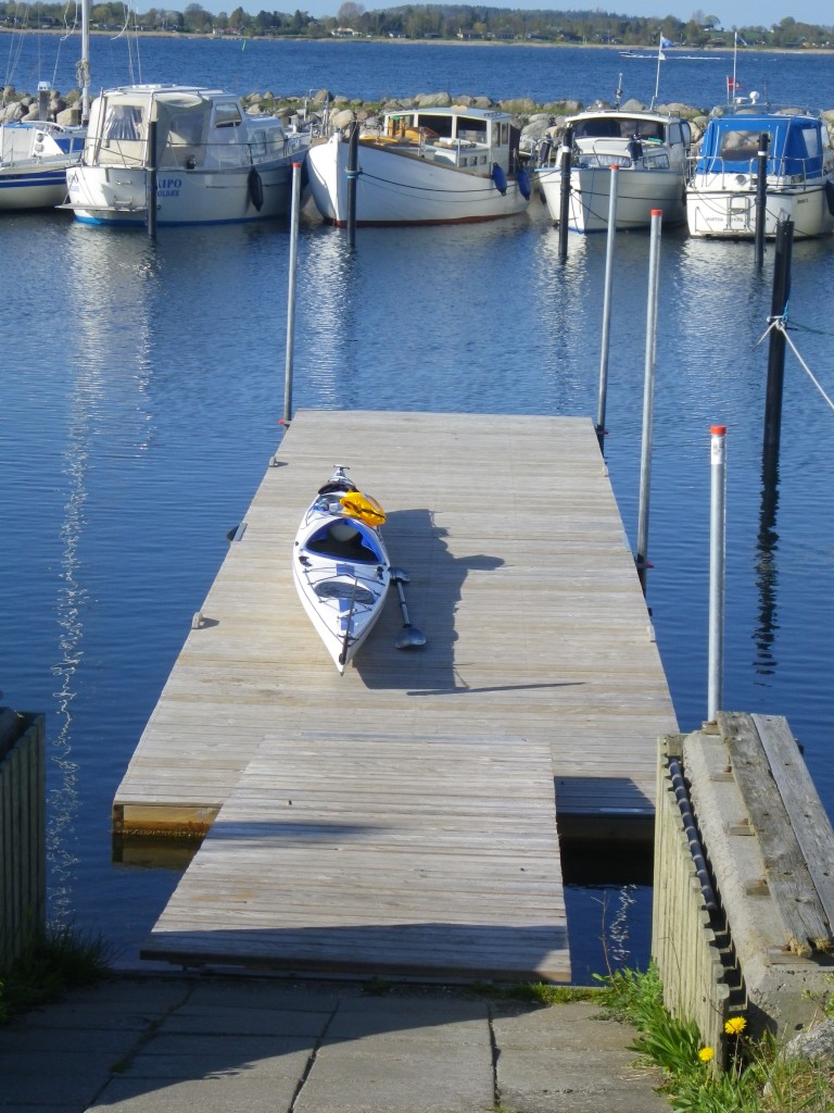 IMGP2413