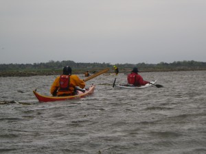 IMGP2440