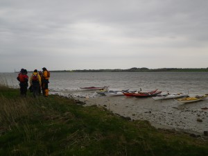 IMGP2441