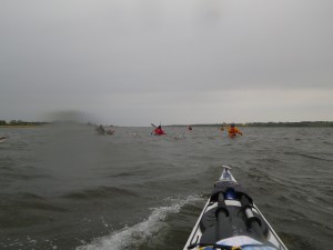 IMGP2442