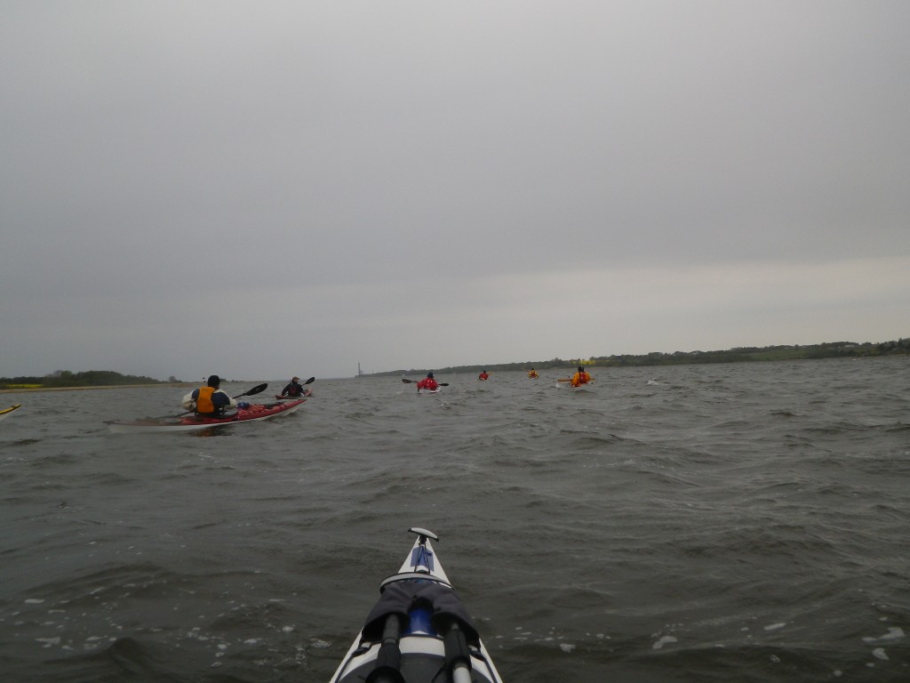 IMGP2443