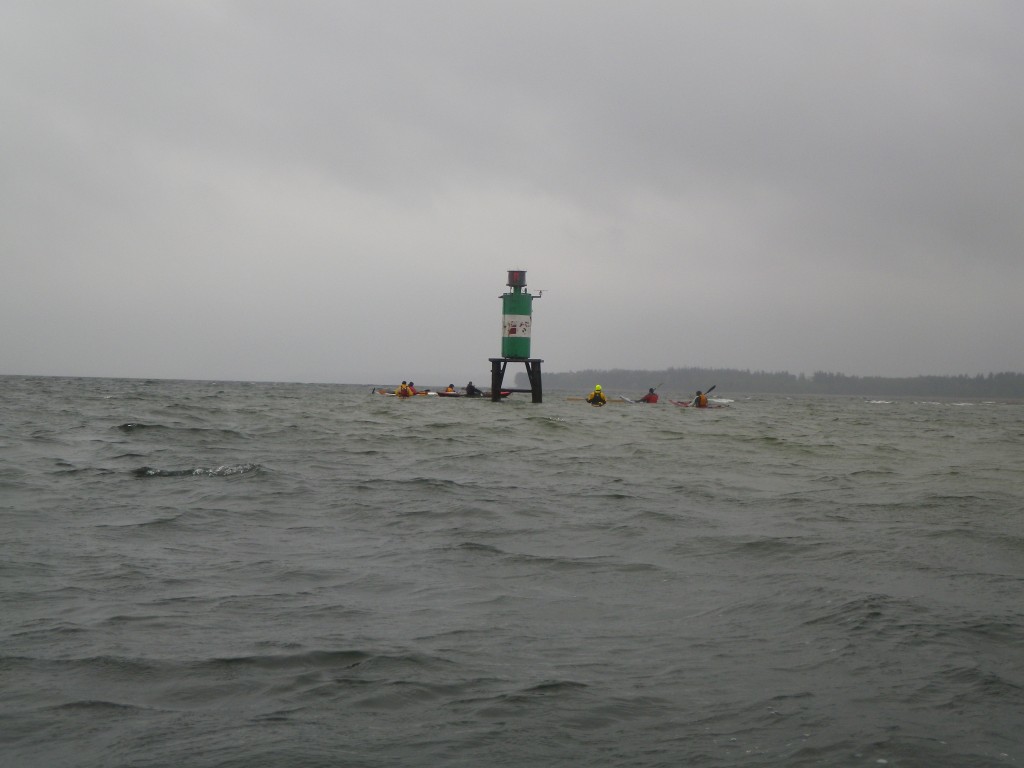IMGP2446
