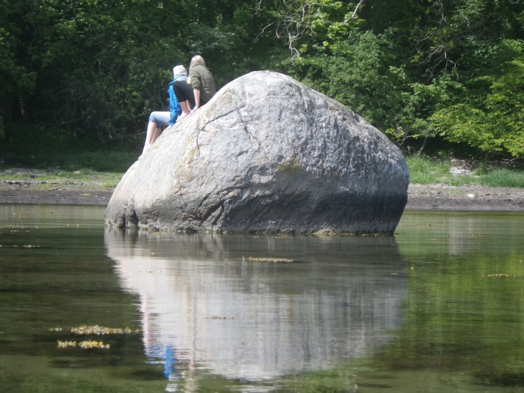 IMGP2457