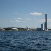 IMGP2461