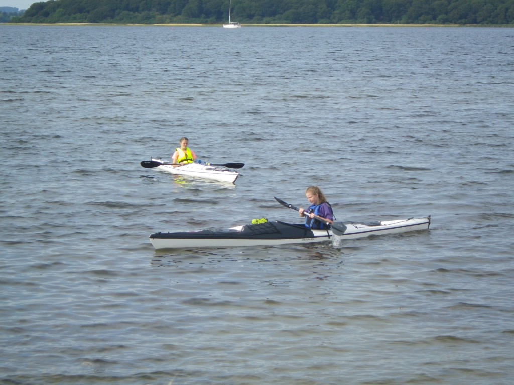IMGP2588